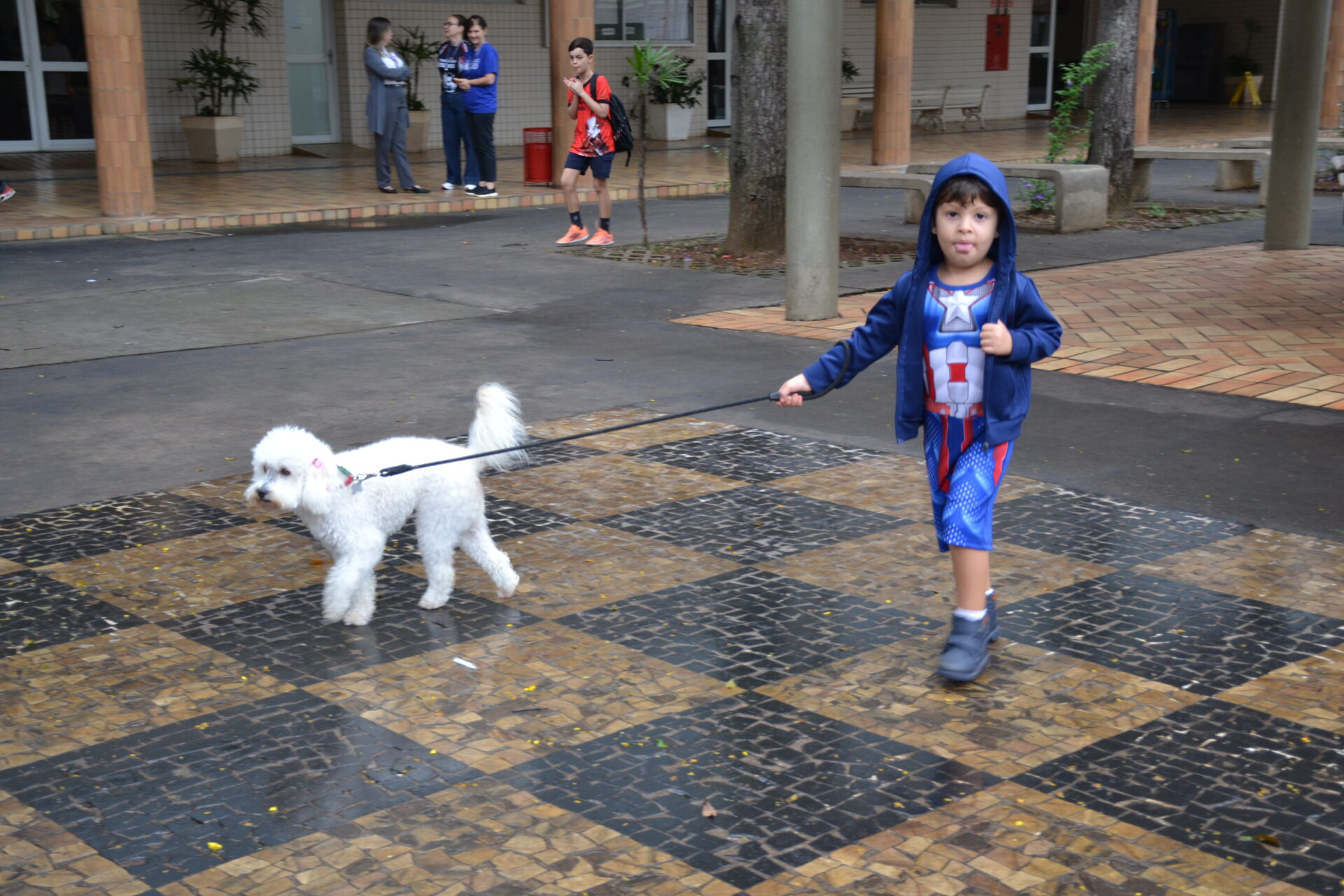 BENÇÃO.DOS.ANIMAIS (26)