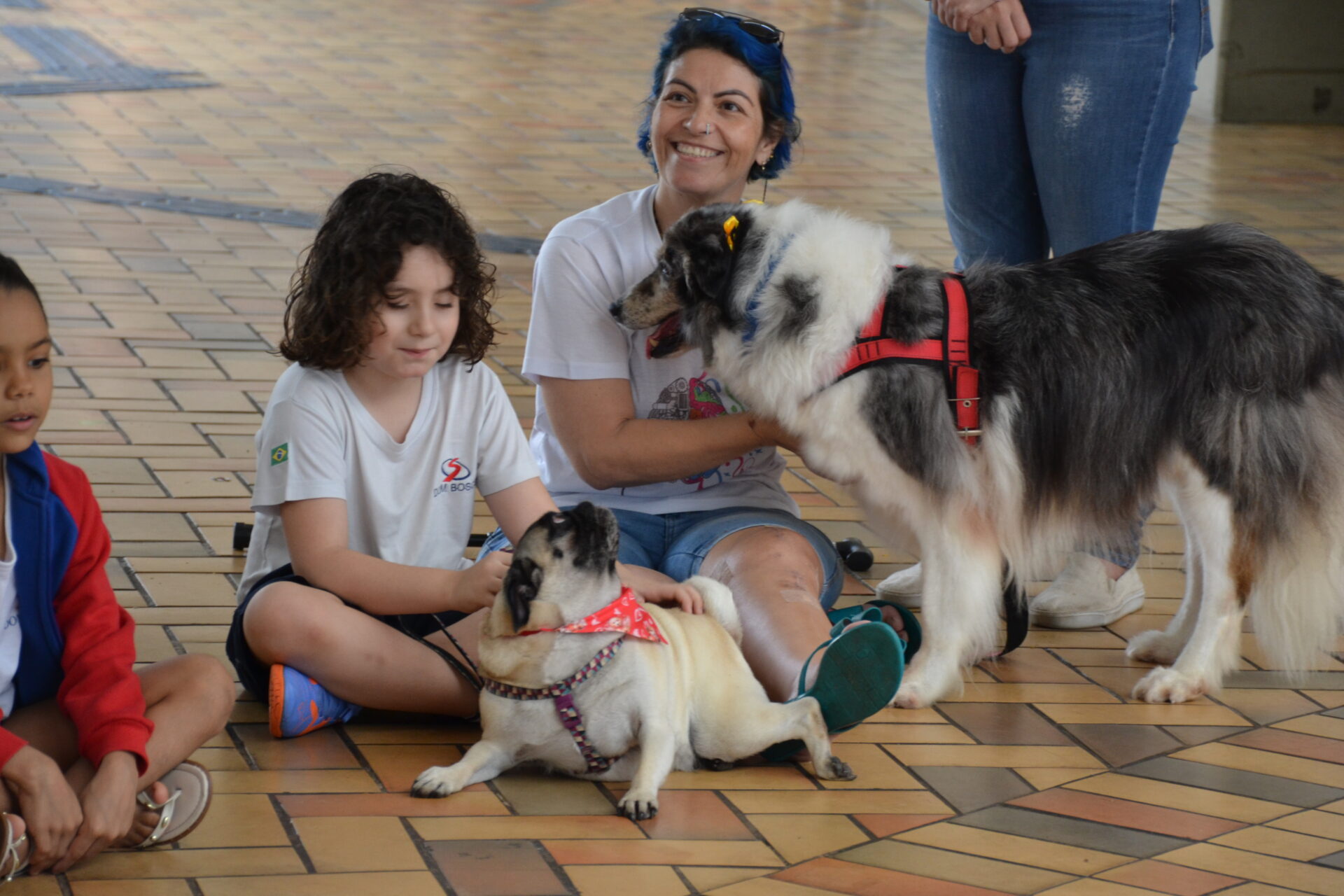 BENÇÃO.DOS.ANIMAIS (55)