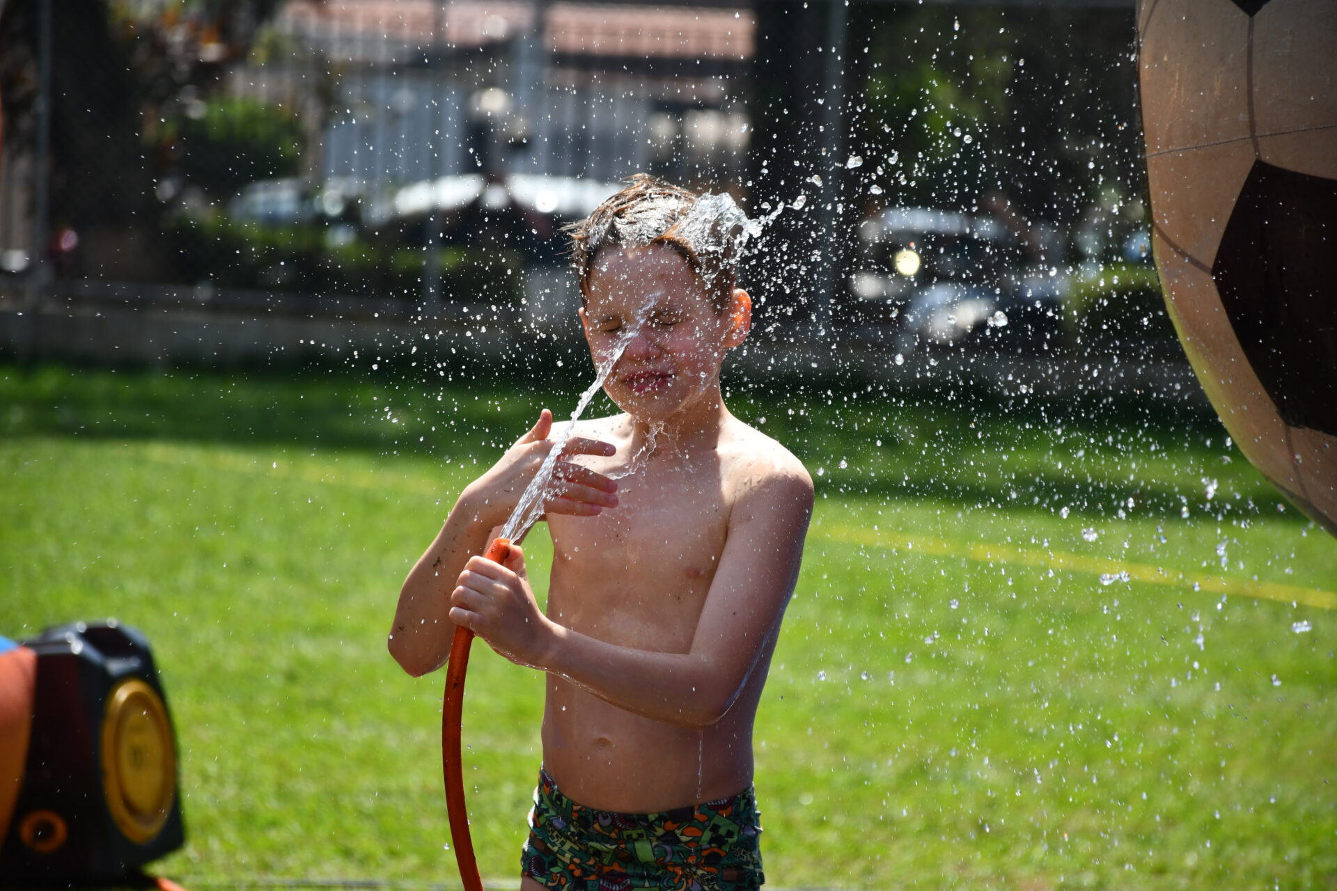 DSC_0374